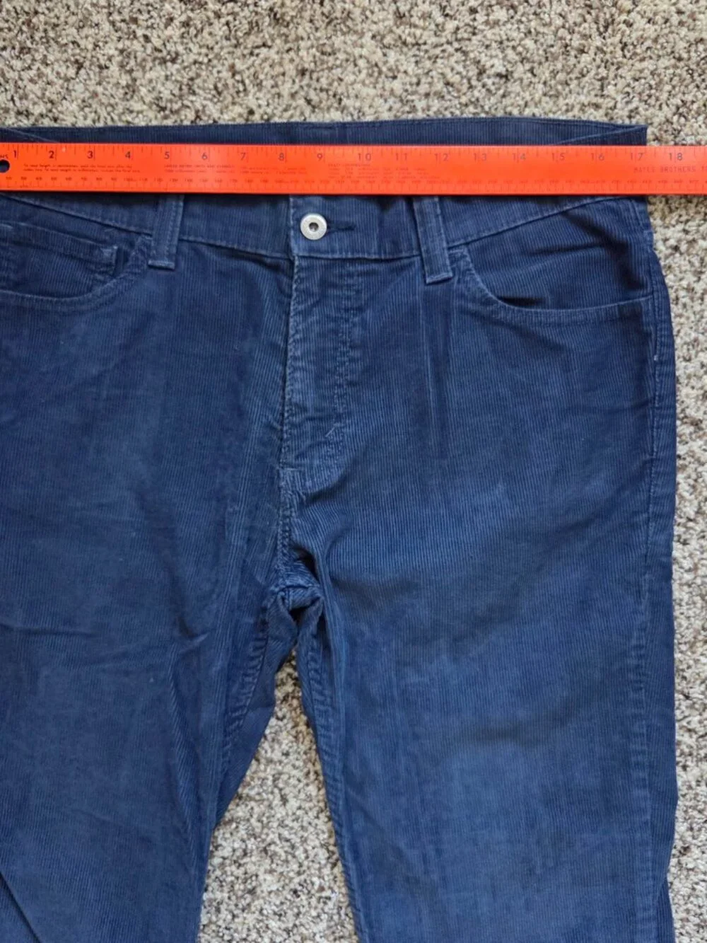Levis levis 510
